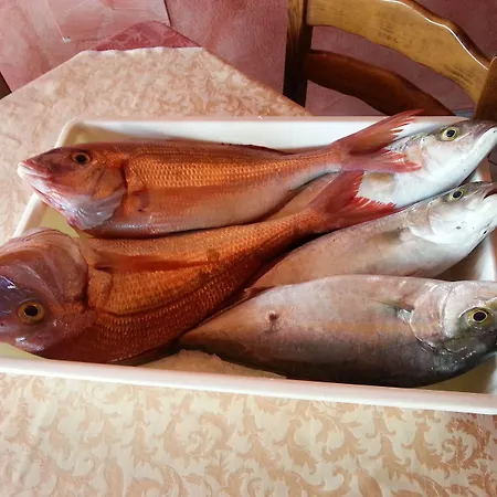 博尔戈迪圣巴巴拉酒店 酒店 圣多米尼卡