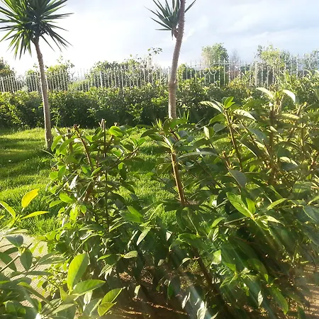 博尔戈迪圣巴巴拉酒店