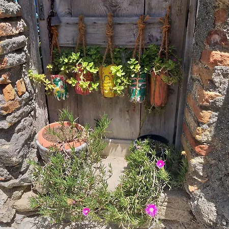 Borgo Di Santa Barbara 호텔