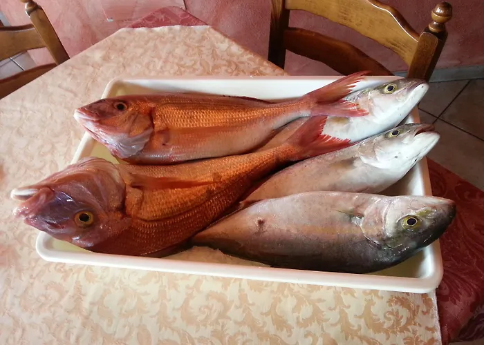 Borgo Di Santa Barbara מלון סנטה דומניקה